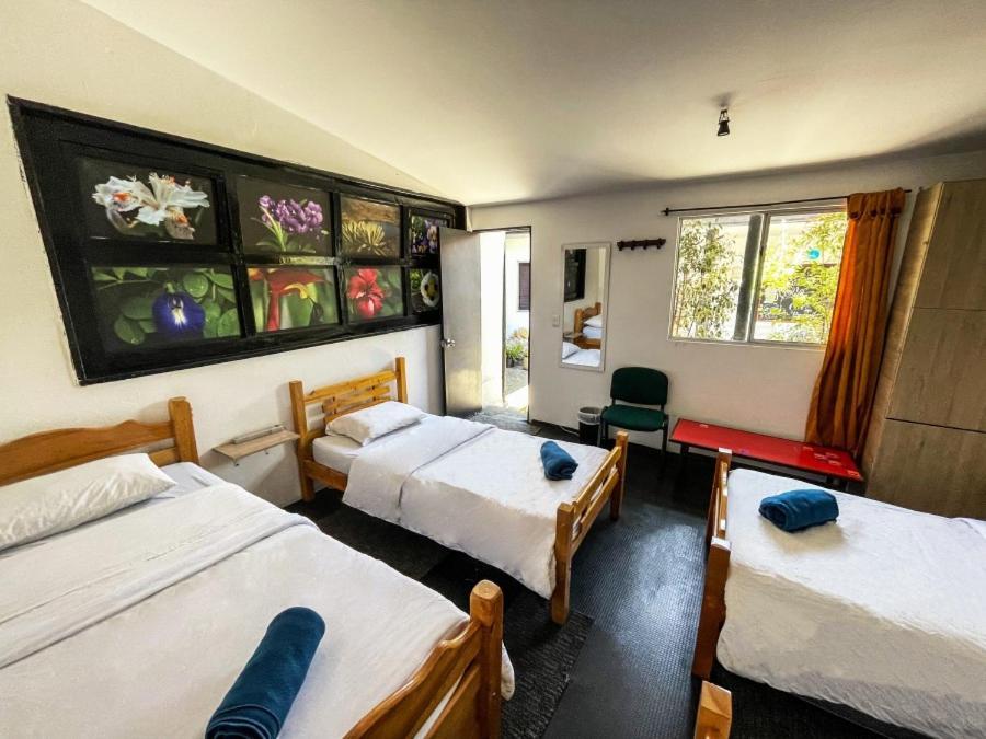 בוגוטה El Yarumo Hostel מראה חיצוני תמונה