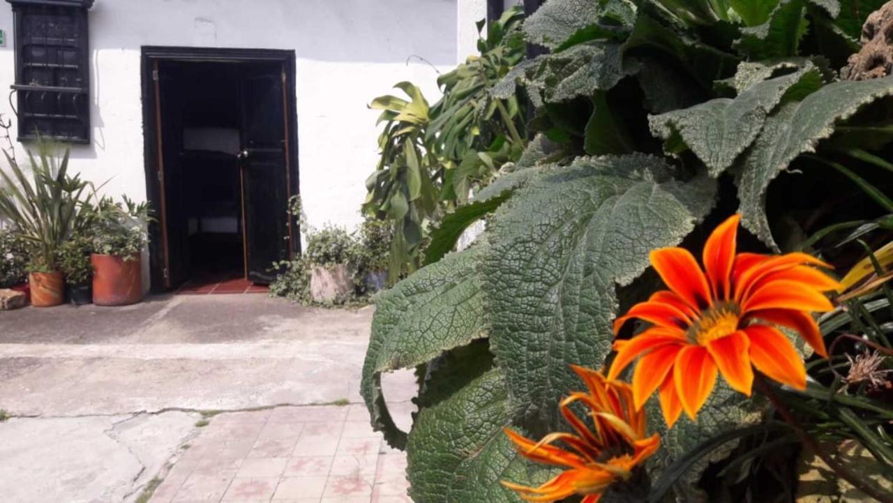 בוגוטה El Yarumo Hostel מראה חיצוני תמונה